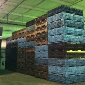 Used 48 x 45 x 42 Containers